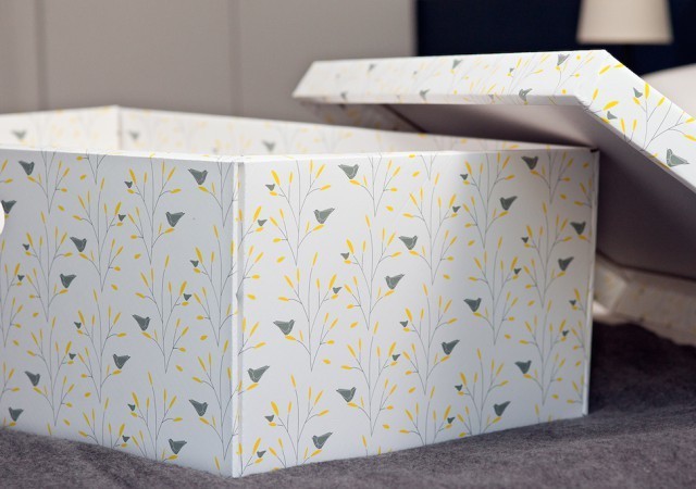 La tendance des Baby Box