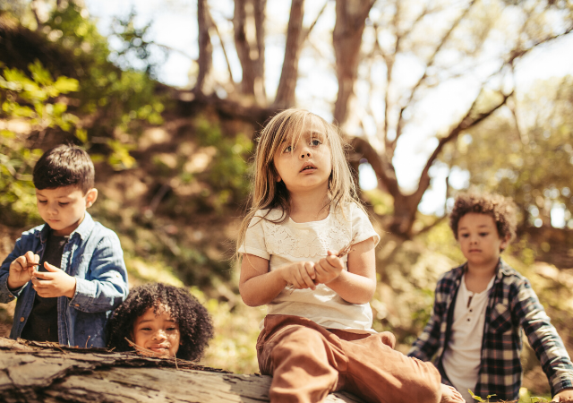 Ecole dans la forêt pour enfants