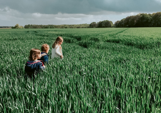 S’initier à l’écologie avec les enfants âge par âge